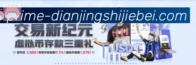 奖项4
